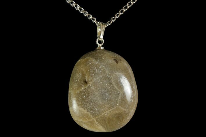 Polished Petoskey Stone (Fossil Coral) Necklace - Michigan #156174